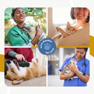 Client Engagement Materials Thumbnail, Companion - Canine