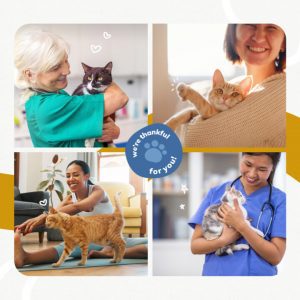 Client Engagement Materials Thumbnail, Companion - Feline