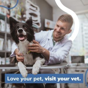 Social Thumbnail for Client Engagement Materials, Companion