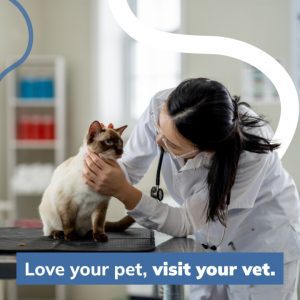 Social Thumbnail for Client Engagement Materials, Companion