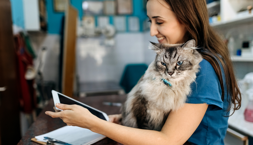 Vet holding cat while reviewing information on her tablet