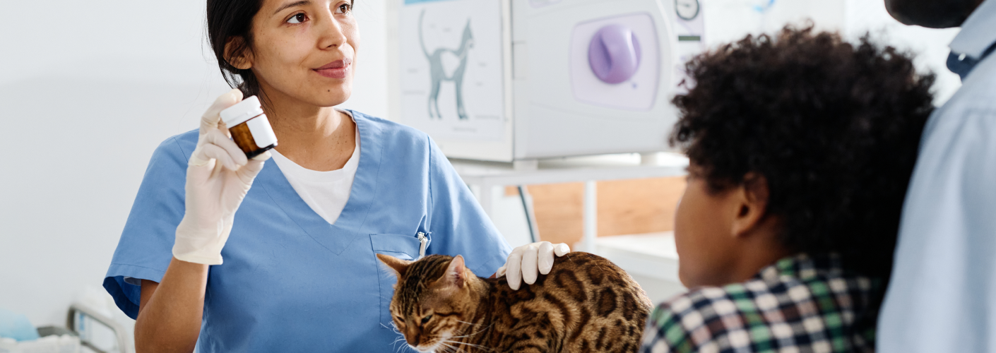 Vet explaining medication to man and boy pet parents with cat