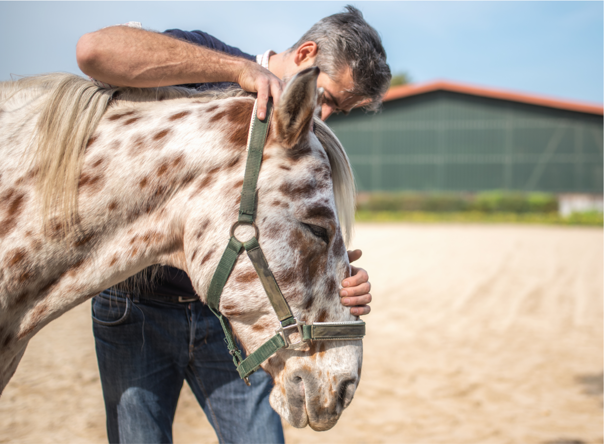 Man with his hands on a spotted horse’s face and head