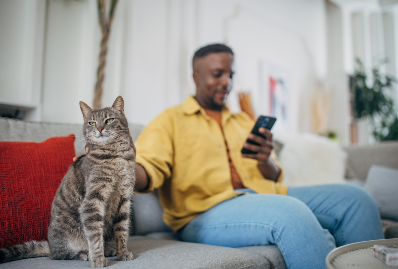 Man on couch holding phone while petting