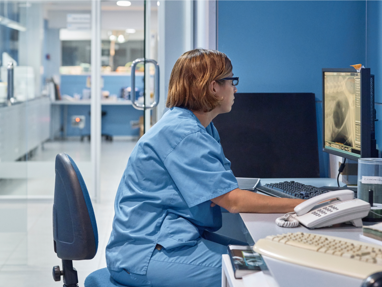 Woman vet reviewing information on her clinic desktop computer