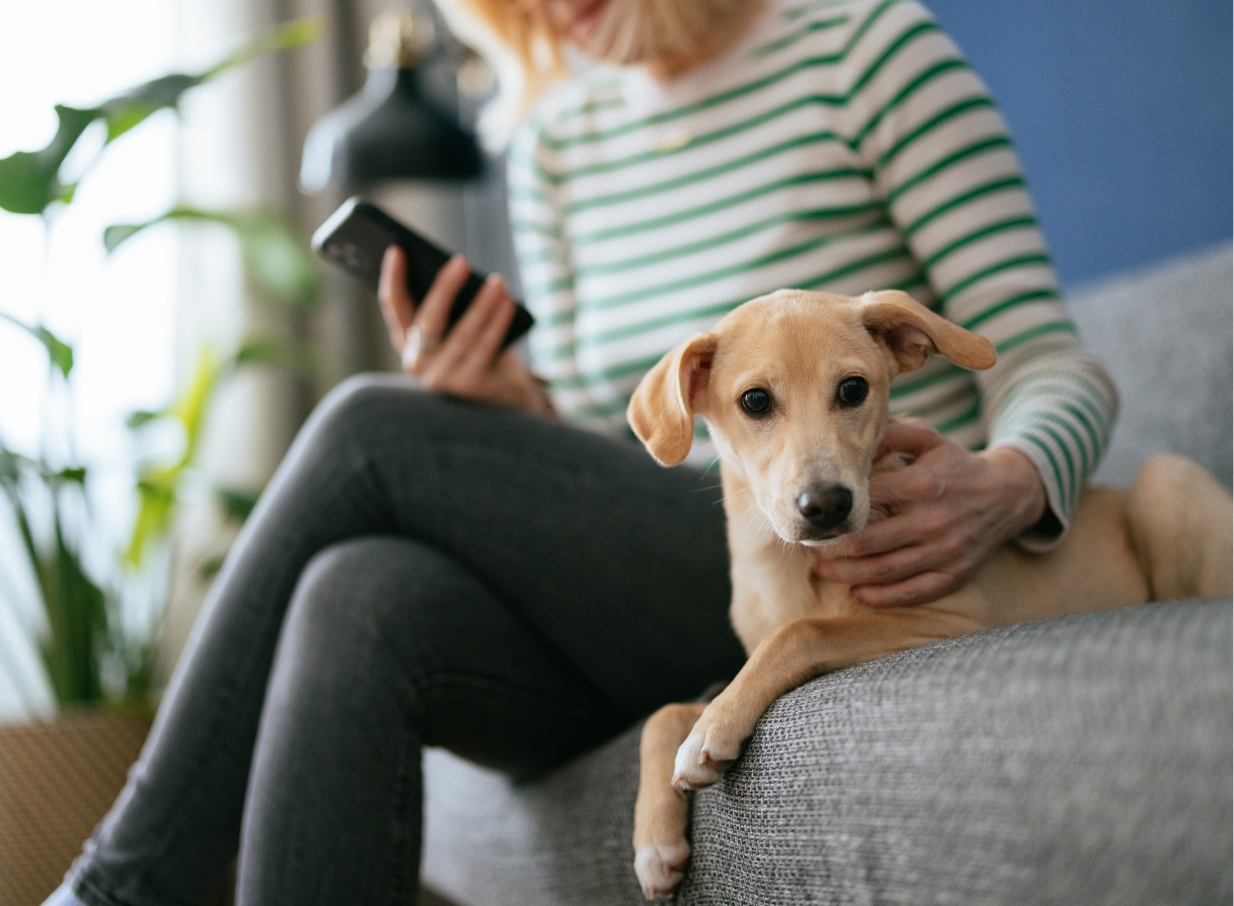 Woman on couch looking at phone with dog next to her