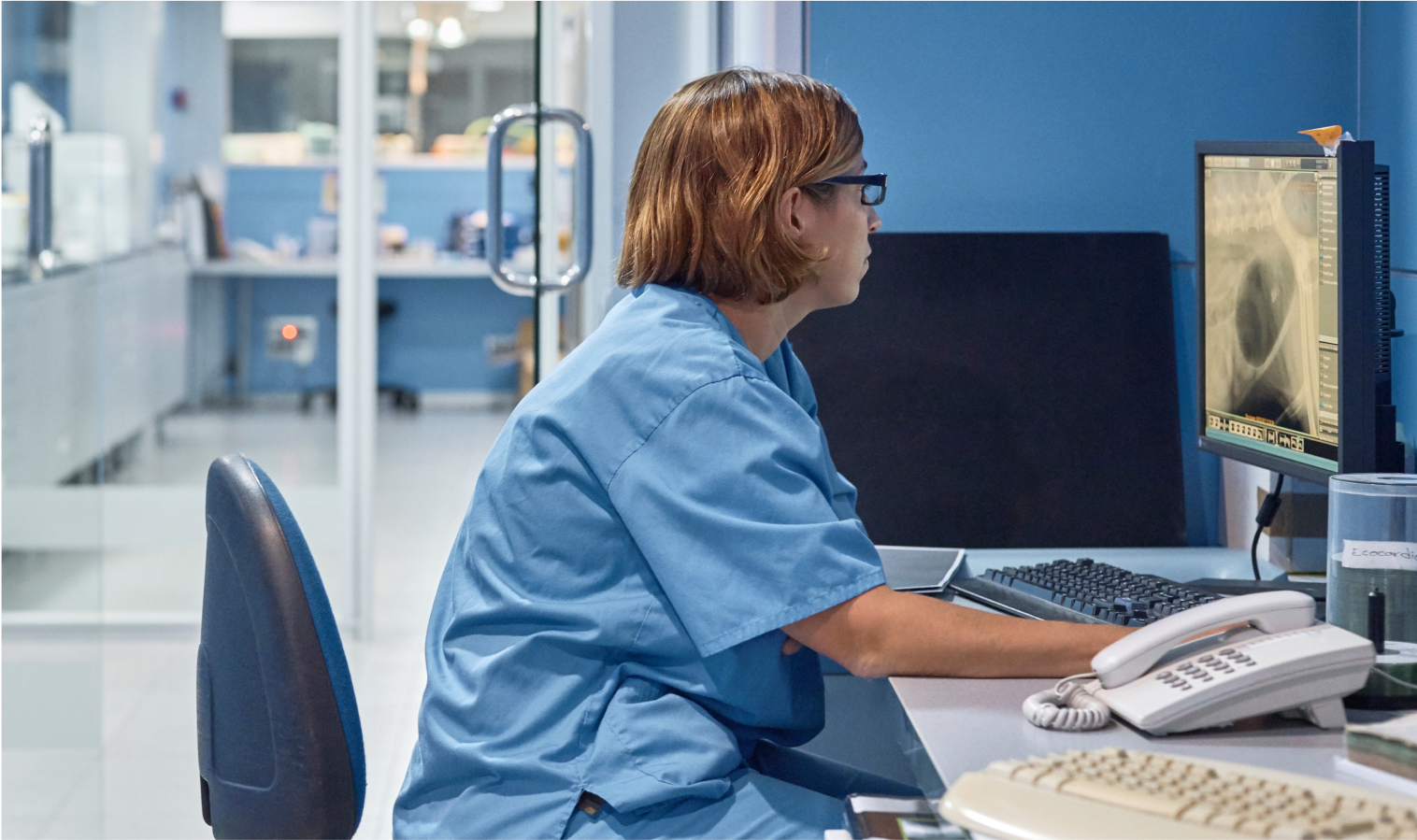 vet at her desk looking at information on a desktop computer