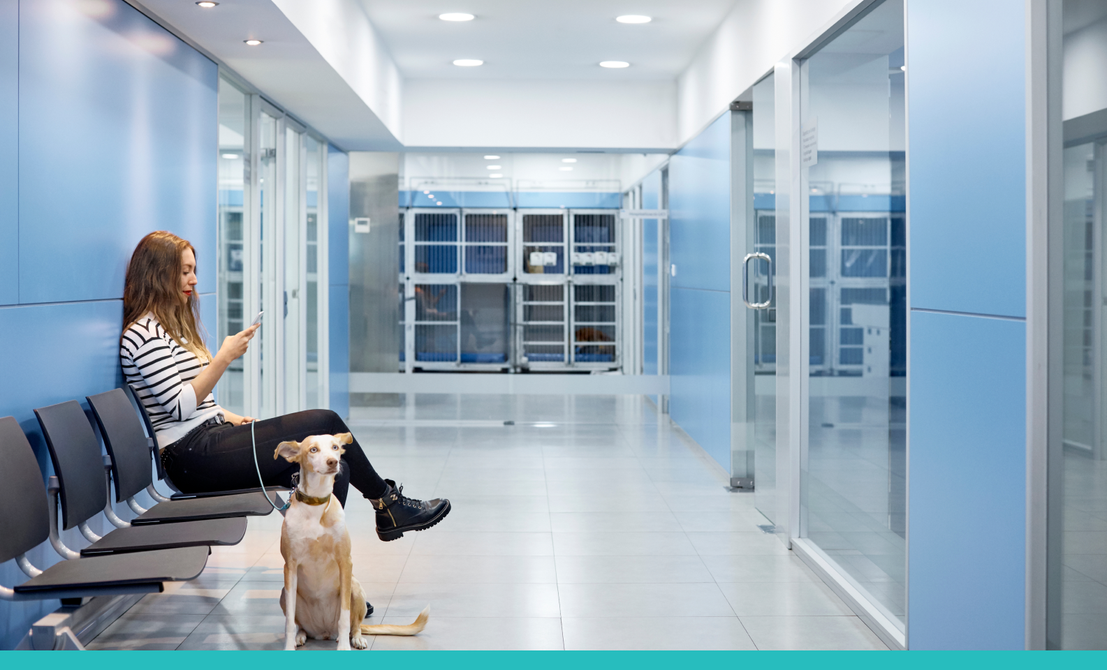 A pet owner sits with her dog in a waiting area