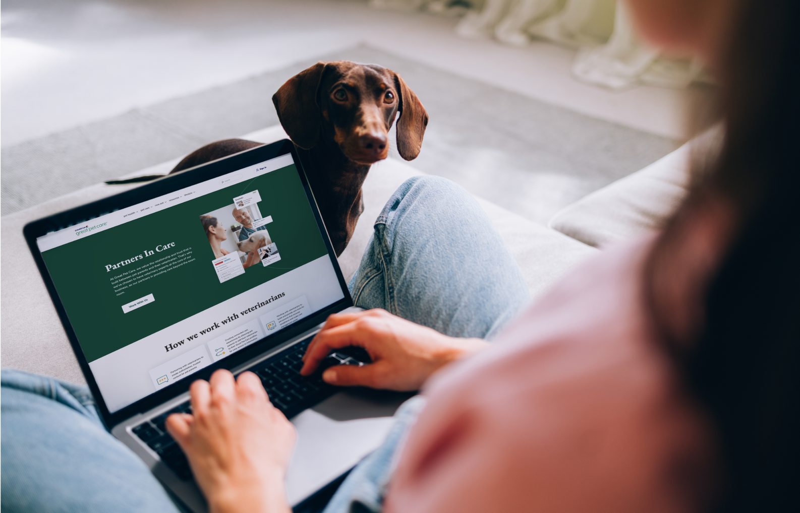 Over-the-shoulder photo of a woman visiting the GreatPetCare website on her laptop while he dachshund looks up at her.