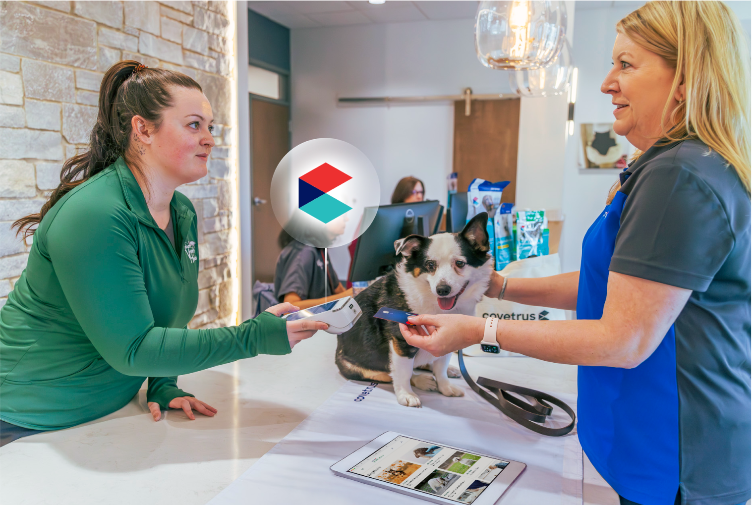 Pet owner pays with a credit card as her small tri-colored dog sits on the check-out desk