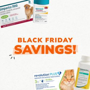 Social Thumbnail for Black Friday, Companion - Zoetis