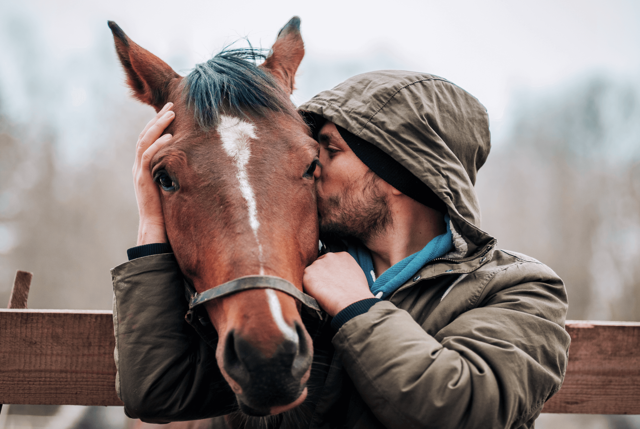 A man hugging and kissing a horse as it leans over a fence