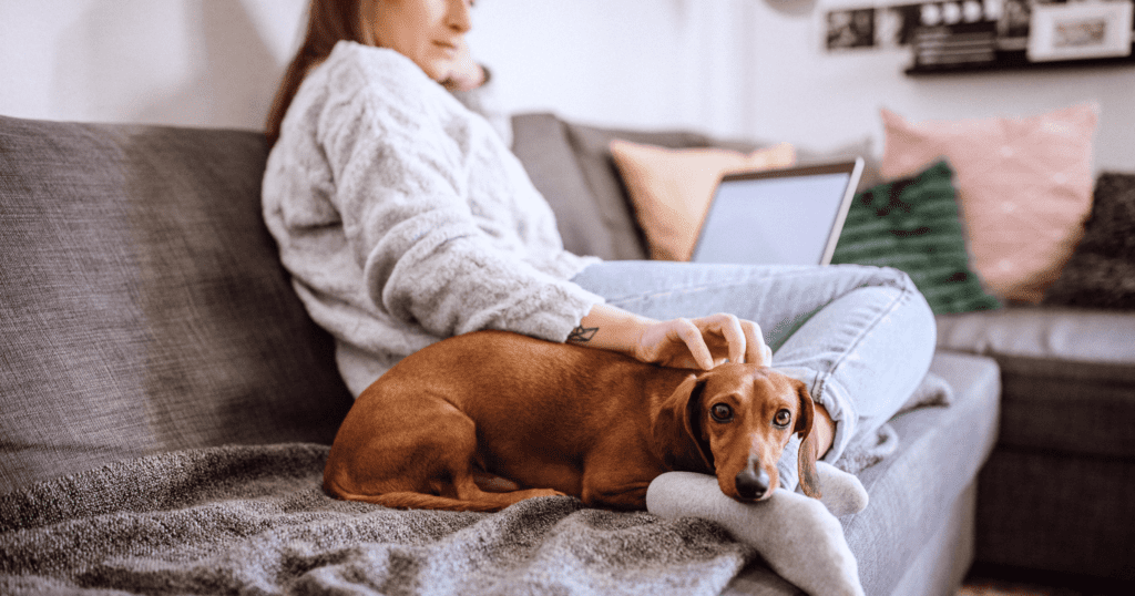 A woman relaxing on her couch, laptop in the background, petting her dachshund resting on her feet.