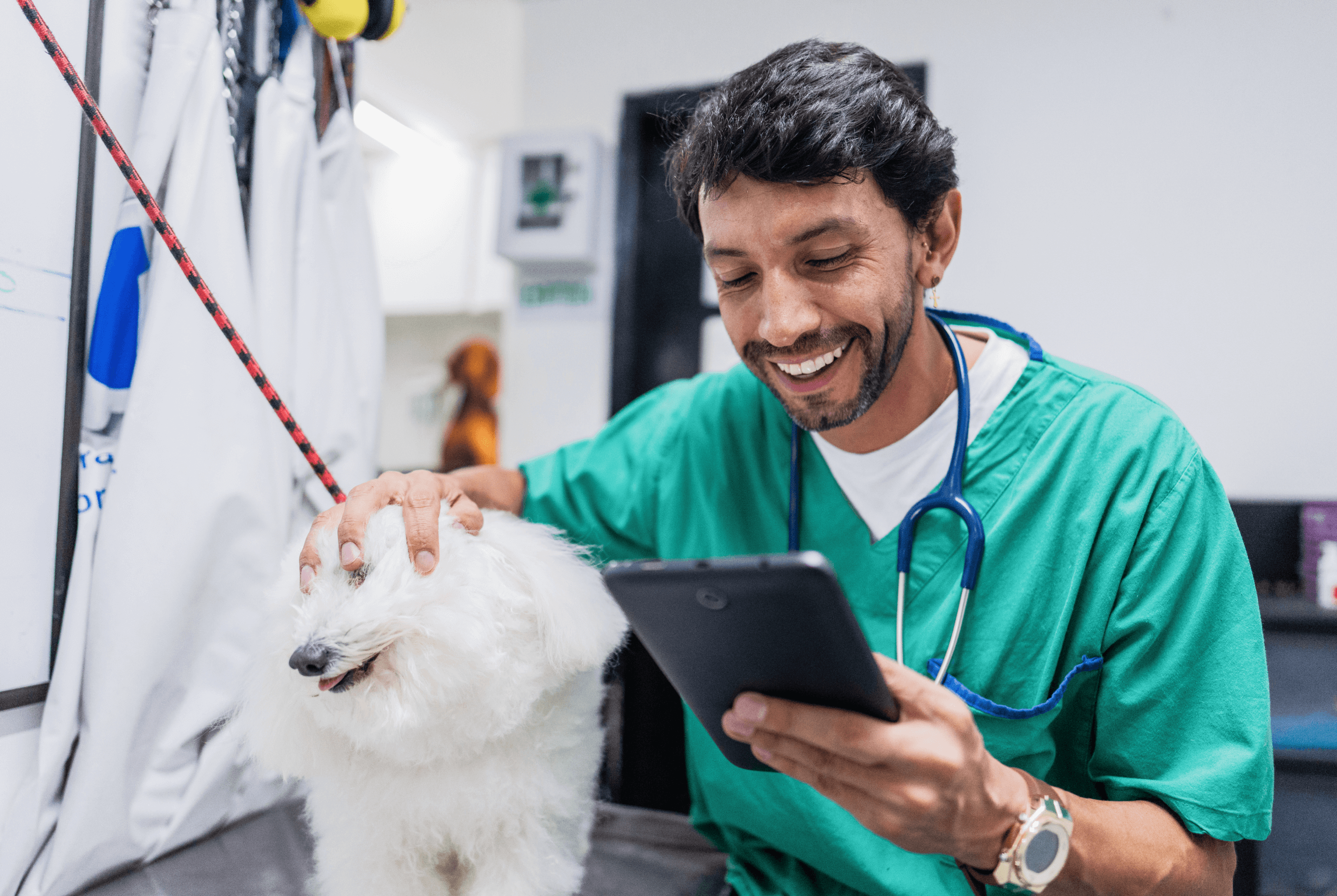 A young male vet tech petting a small white dog while smiling and reading a mini tablet.