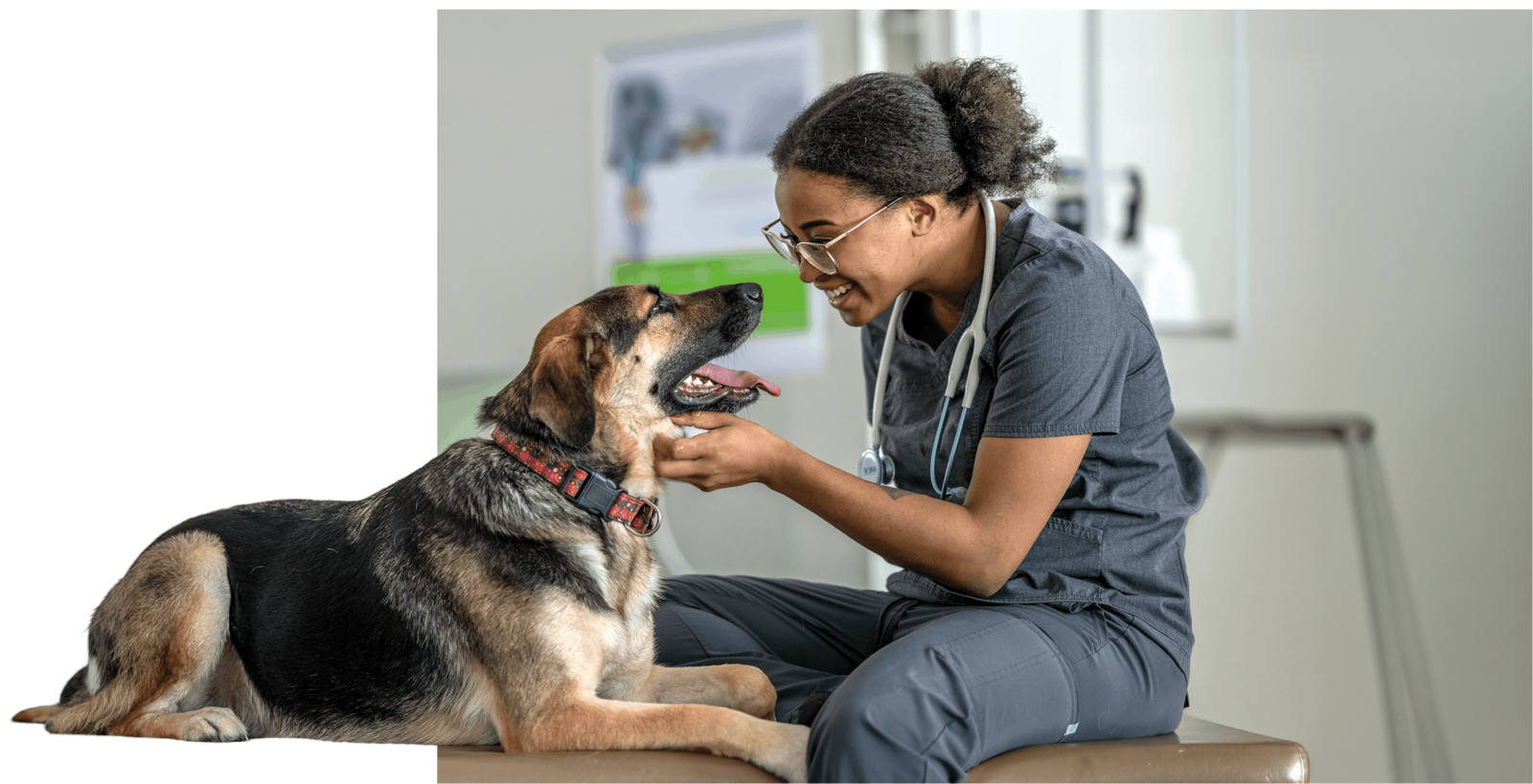 A happy woman and dog looking at each other