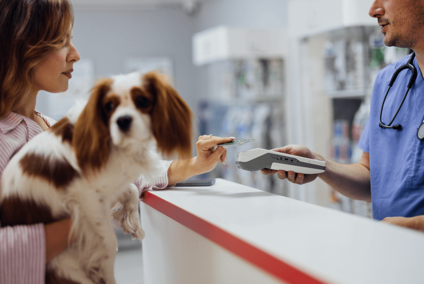 Woman pet owner carrying her cavalier king charles spaniel and making a credit card payment