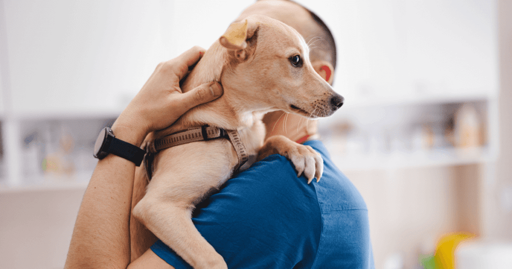 Man in a blue shirt carrying a dog against his chest as it peeks over his shoulder