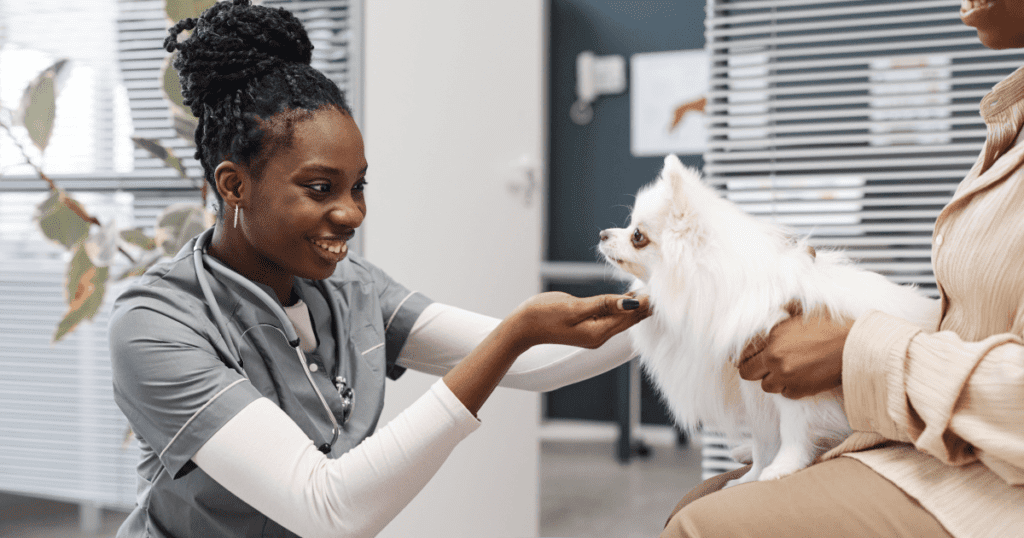 Young female vet tech kneeling and smiling at a small white dog, sitting in the lap of its owner.