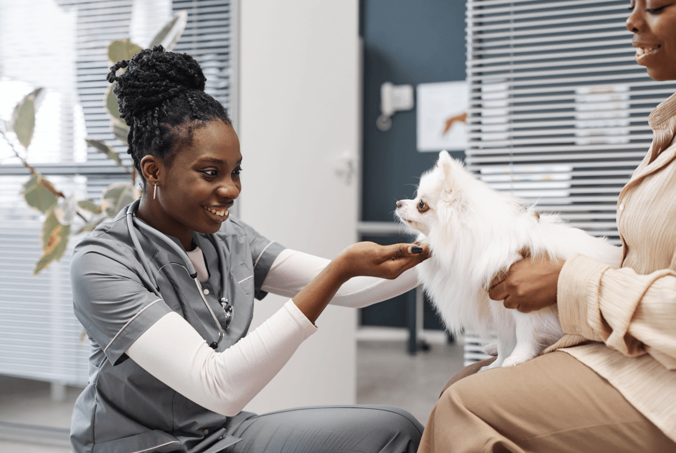 Young female vet tech kneeling and smiling at a small white dog, sitting in the lap of its owner.