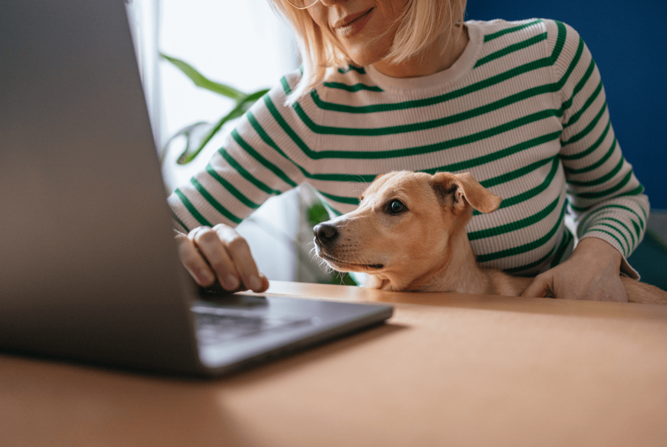 A smiling woman leans over her laptop with her small dog in her lap