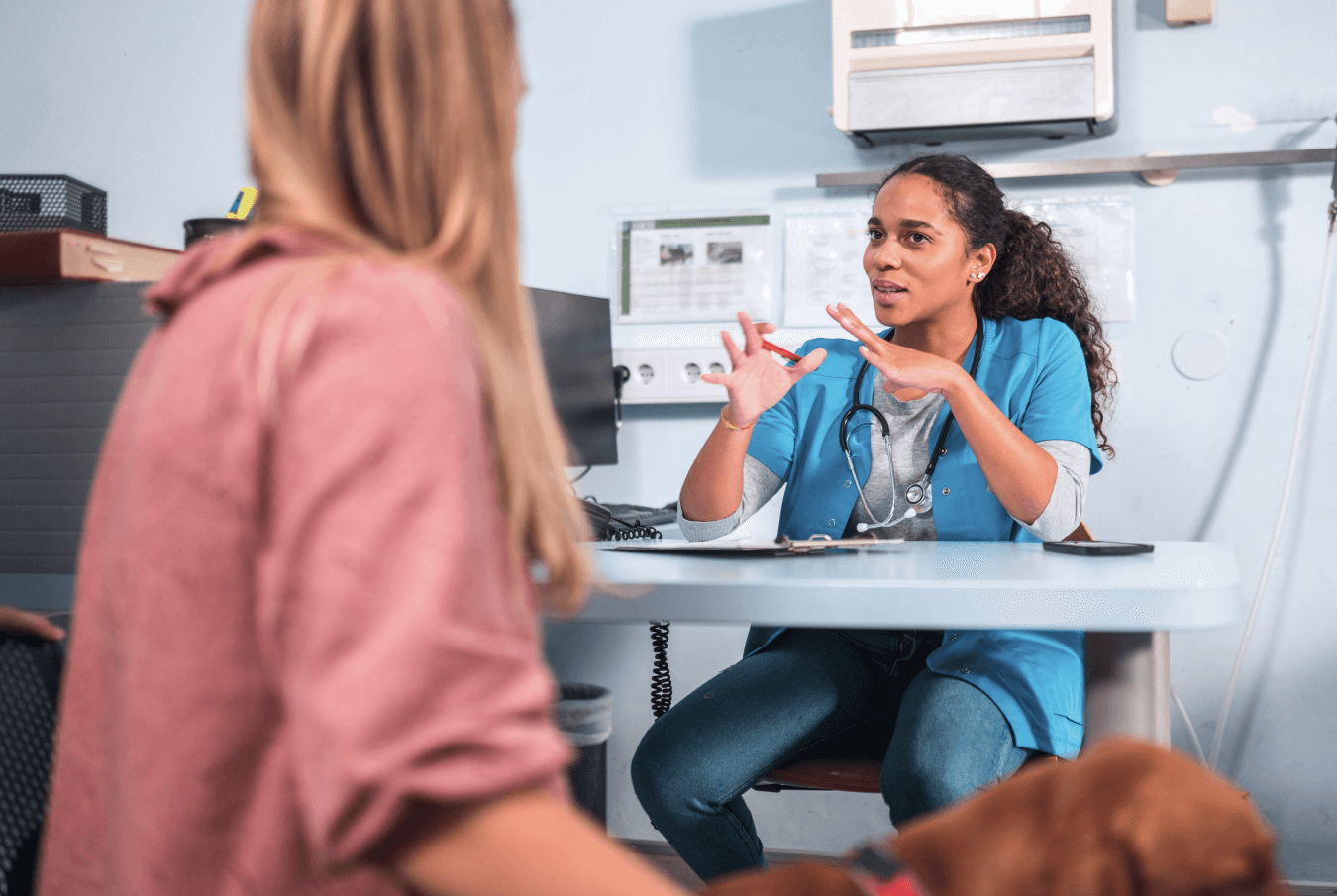 Vet sitting across from a pet owner whie her dog sits next to her, talking animatedly