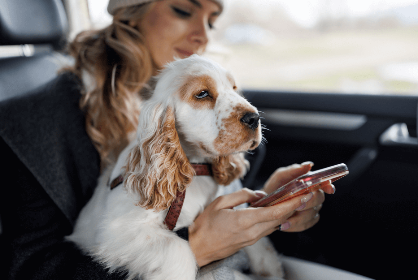 Woman pet owner holding her dog on her lap and checking her smartphone.