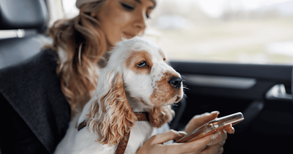 Woman pet owner holding her dog on her lap and checking her smartphone.