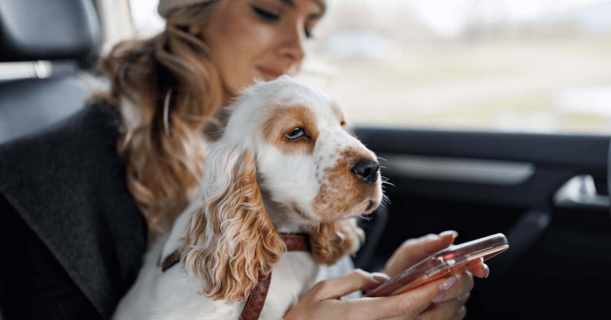 Woman pet owner holding her dog on her lap and checking her smartphone.