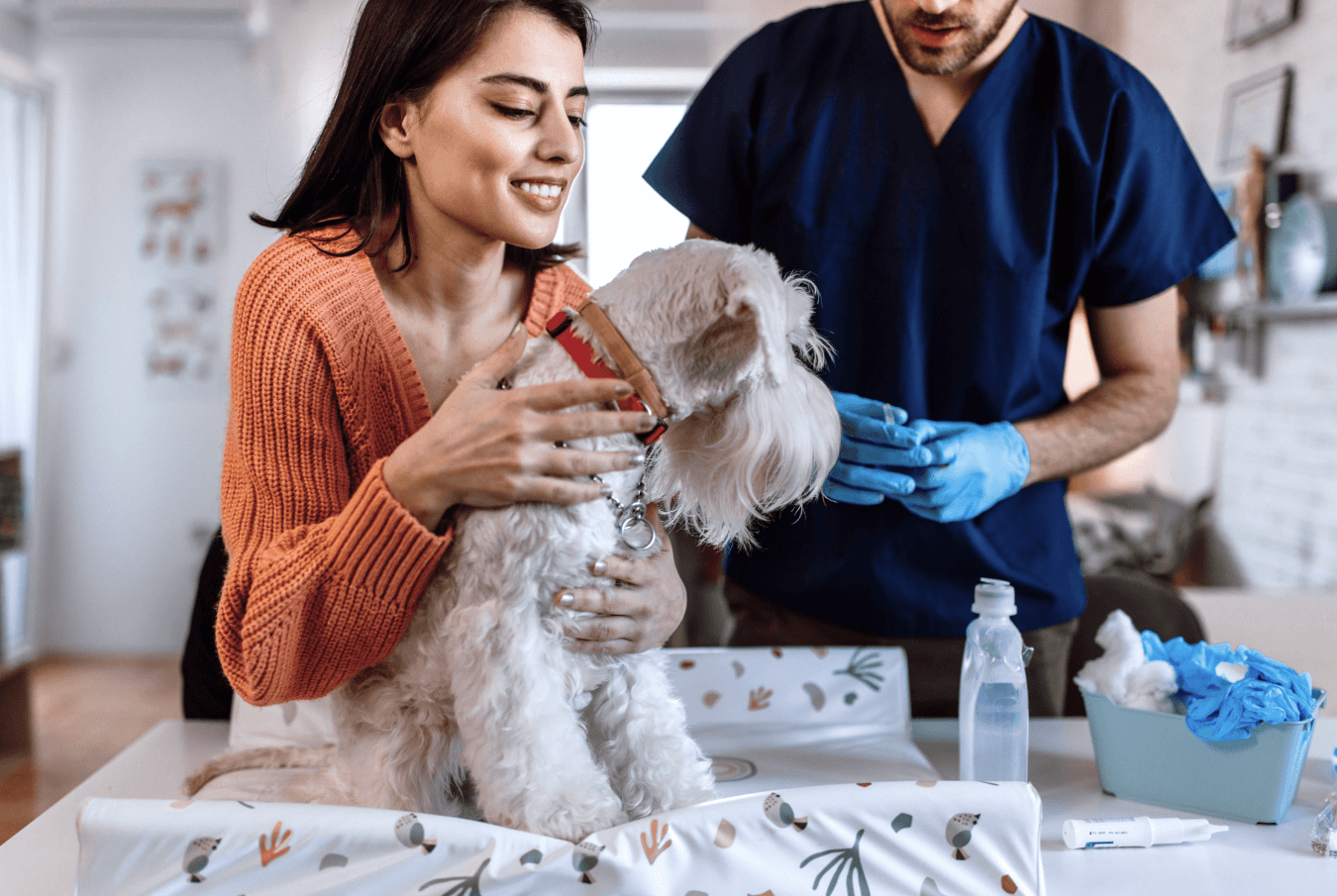 Vet and smiling pet owner holding a schnauzer on an exam table