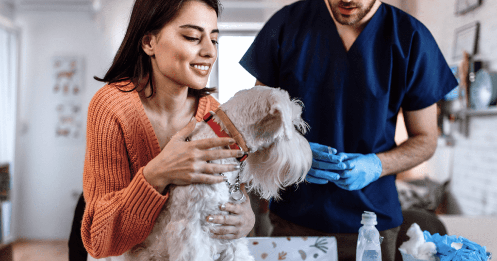 Vet and smiling pet owner holding a schnauzer on an exam table