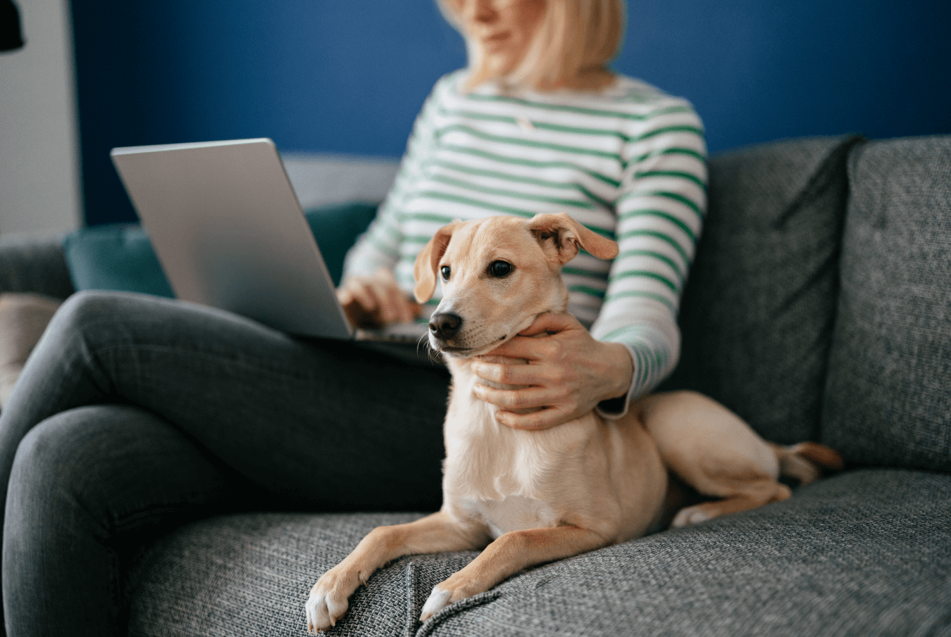 Blonde woman using her laptop while petting her dog sitting on a grey couch