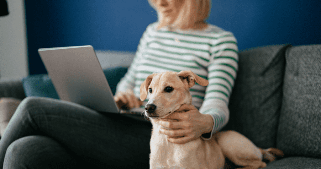 Blonde woman using her laptop while petting her dog sitting on a grey couch