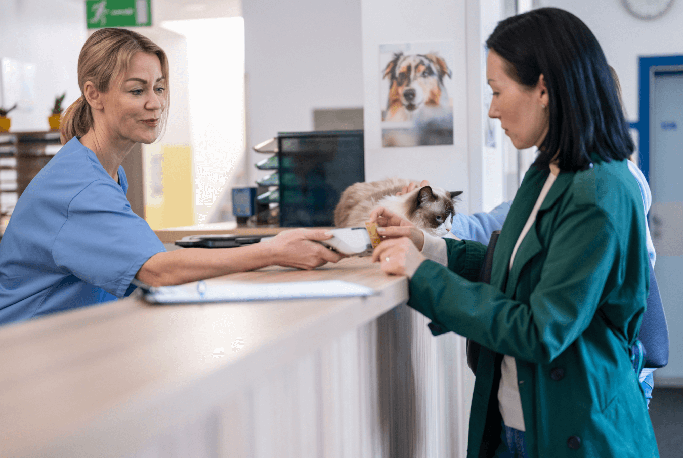 A veterinary practice staffer holds a tap-to-pay reader for a customer to make their payment, with a cat sitting on the counter nearby