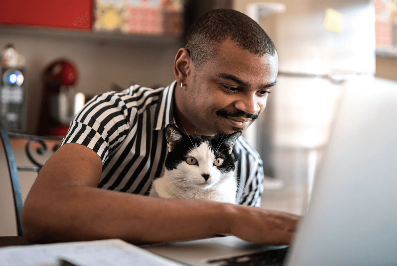 Smiling pet owner using his laptop in a kitchen area with his cat on his lap