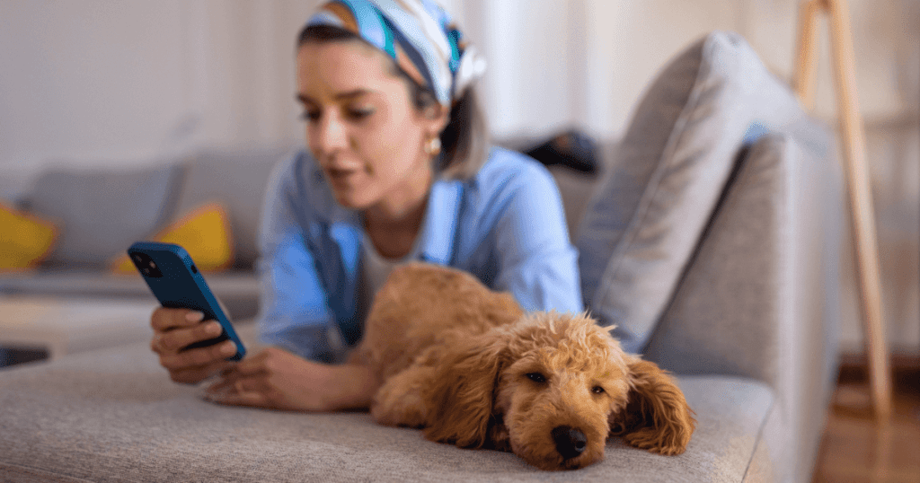 Young woman lying on the couch with a sleepy poodle looking at her phone