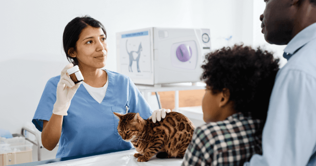 Vet holding medication in a bottle, petting a cat and talking with two pet owners