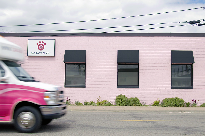 Building a legacy: How one independent veterinarian grew while staying true to her values 