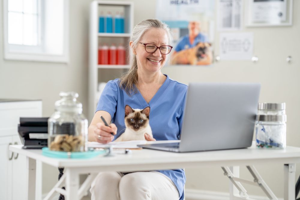 vetsuite vet working on laptop with cat